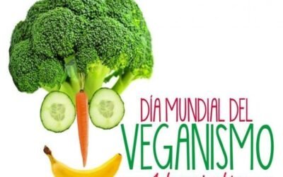 El 01 de Noviembre se conmemoro el día mundial del veganismo. ¿Qué es y como afecta a nuestro organismo?